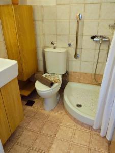 a bathroom with a toilet and a shower and a sink at Lavandi 1 in Thessaloniki +14 photos