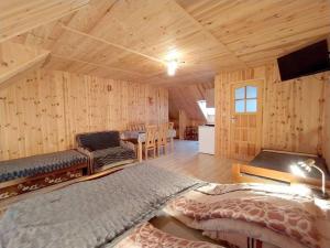 Habitación con cama y TV en una cabina. en Pokoje gościnne u Beatki, en Czarna Góra