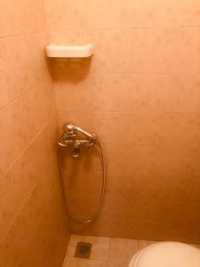 a shower in a bathroom with a toilet at Barreira Beachfront Rooms 4 in Kalamata