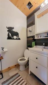 Ένα μπάνιο στο Waterfront Cottage - Fireplace - Kawartha +32 φωτογραφίες