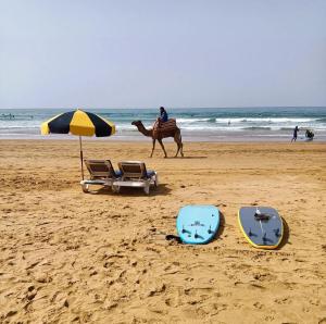 Fotografie z fotogalerie ubytování YASURF Guesthouse v destinaci Taghazout