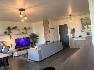 Μια τηλεόραση ή/και κέντρο ψυχαγωγίας στο Appartement élégant et raffiné, de haut standing