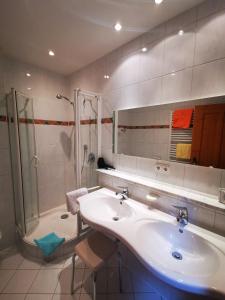 een badkamer met een wastafel en een douche bij Gästehaus Thaler in Mittelberg