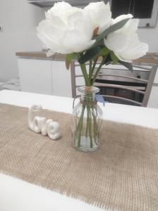 Fotografie z fotogalerie ubytování Le Sirene Sweet Home v destinaci torvaianica