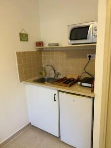a kitchen with a sink and a microwave at נופש איילה in Bnei Yehuda