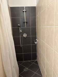 a shower in a bathroom with black tile at נופש איילה in Bnei Yehuda