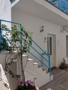 a stairway with a potted plant next to a staircase at La casa di Giuliana piano terra con cucina e lavatrice in Ischia