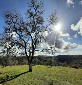 Zdjęcie z galerii obiektu CASA IL MANDORLO NEL CHIANTI w mieście Castellina in Chianti