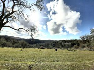 Zdjęcie z galerii obiektu CASA IL MANDORLO NEL CHIANTI w mieście Castellina in Chianti