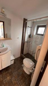 a bathroom with a shower and a toilet and a sink at Casa Morarului in Buşteni