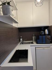 Η κουζίνα ή μικρή κουζίνα στο Cozy Apartament +14 φωτογραφίες