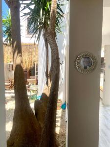 Foto dalla galleria di Tree of Life Art Hotel ad Agia Marina Nea Kydonias
