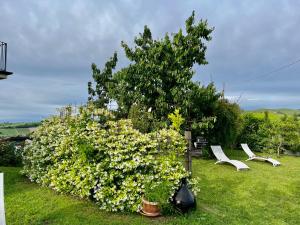 a group of white chairs and a bush with flowers at Casa Arcobaleno Holiday home apartments in Diano dʼAlba
