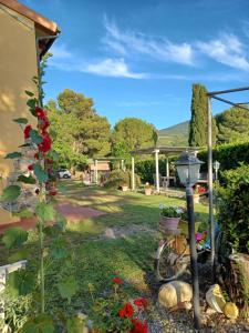 un jardín con una bicicleta y una lámpara en Agriturismo Il Gelso, en Pomaia