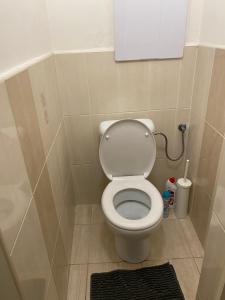 a bathroom with a white toilet in a stall at Ubytování v centru Ostravy in Moravská Ostrava