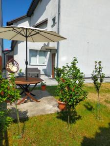 Κήπος έξω από το Darłowska 49A +11 φωτογραφίες