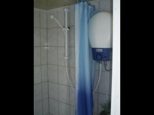 a shower in a bathroom with a blue shower curtain at Kleine Ferienwohnung in der Natur in Rheinsberg