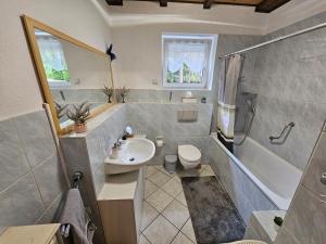 a bathroom with a sink and a toilet and a shower at Ferienhaus JULKA am See mit Kamin & WLAN - Domek Letniskowy JULKA in Teerau +62 photos