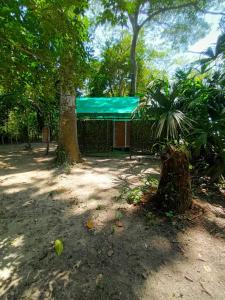 a building with a green roof and a tree at Happy Camping Arrecifes dentro del Parque Nacional Natural Tayrona in El Coquito +5 photos