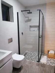 米德爾堡的住宿－HWH Guesthouse Middelburg，带淋浴、卫生间和盥洗盆的浴室