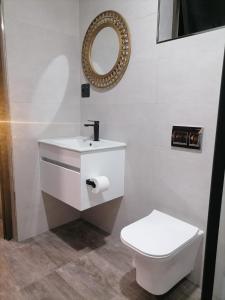 米德爾堡的住宿－HWH Guesthouse Middelburg，白色的浴室设有卫生间和镜子