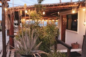 RUSTICO LOUNGE-Property in front of the beach外面的花园