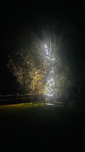 un groupe de tables sous un arbre la nuit dans l'établissement Villa UNA LUX, à Bihać