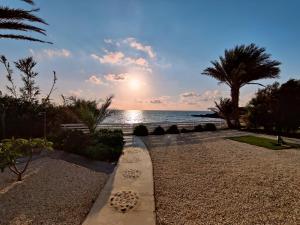 a pathway leading to the beach with the sun in the background at Kochili Villa in Pomos