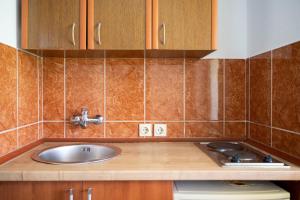 um balcão de cozinha com um lavatório e armários de madeira em Apartments Rudaj em Ulcinj