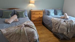 dos camas sentadas una al lado de la otra en un dormitorio en Vale Farm Cottages en Brecon