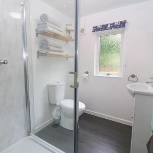 卡納芬的住宿－Buarth Wern，白色的浴室设有卫生间和水槽。
