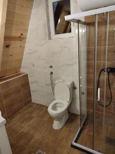 a bathroom with a toilet and a shower at Mountain House Una in Žabljak +76 photos