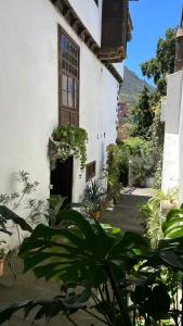 A garden outside Casa La Aldaba