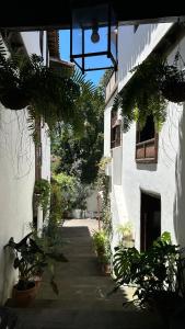 A garden outside Casa La Aldaba