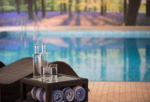 Bazén v ubytování Forest Lodge Hotel nebo v jeho okolí + 37 fotografií