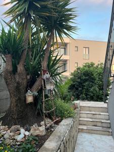 Vonkajšia záhrada v ubytovaní Apartmani MM
