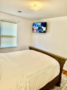 Televisyen dan/atau pusat hiburan di Stylish Evergreen Apartment By Newark Airport