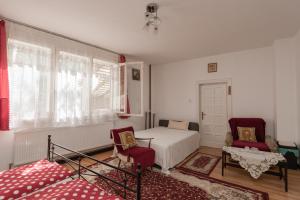 Фотография из галереи Pensiunea La Maison Verte в городе Pietroasa