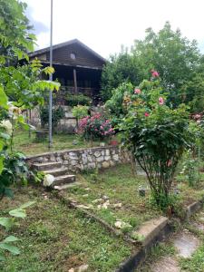 Vonkajšia záhrada v ubytovaní Saklı Cennet Esadiye