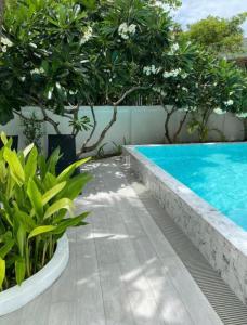 Piscina di Ton Sai Tropical Phi Phi Island o nelle vicinanze