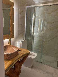 ein Bad mit einem Waschbecken, einer Dusche und einem WC in der Unterkunft Alpeta Agrotourism & Winery - Roshnik , Berat in Roshnik