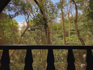 uma vista para uma floresta a partir de uma janela em Chalé Floresta Amada em Ouro Preto