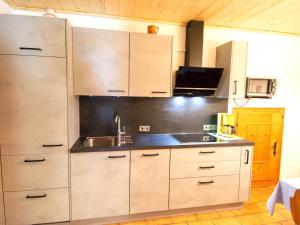 Kirschbaum 3 في ايروالد: مطبخ مع حوض وأدوات حديد قابلة للصدأ