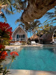 a swimming pool in front of a villa at Coconut Dream Villas in Gili Trawangan