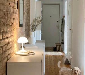a dog standing in a room with a table with a lamp at Cozy NYC Urban Stay in Bedford Park