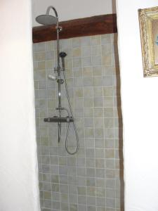 a shower with a shower head in a bathroom at Les Gîtes De La Chérine in Quinson