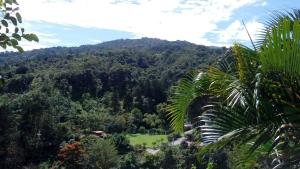 a view of the jungle from the top at Casa de campo Perlas del Río in Cartago