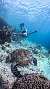 a person swimming in the ocean with a turtle in the water at Byahero's Eskapo Hostel in Moalboal