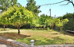 un jardín con un árbol en un campo en La Villa Du Soleil, en Lacoste