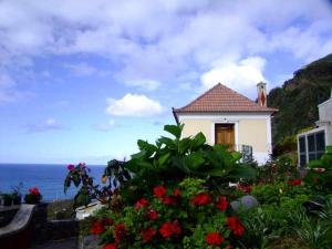 a house with flowers in front of the ocean at Quinta das Hortênsias in Arco de São Jorge